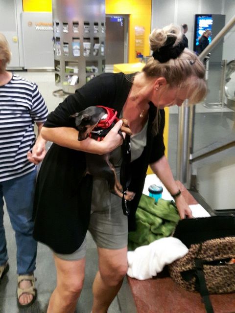 1 2016 09 03 PHOTO 00000036