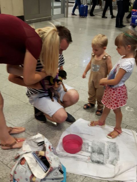 1 2016 09 03 PHOTO 00000037