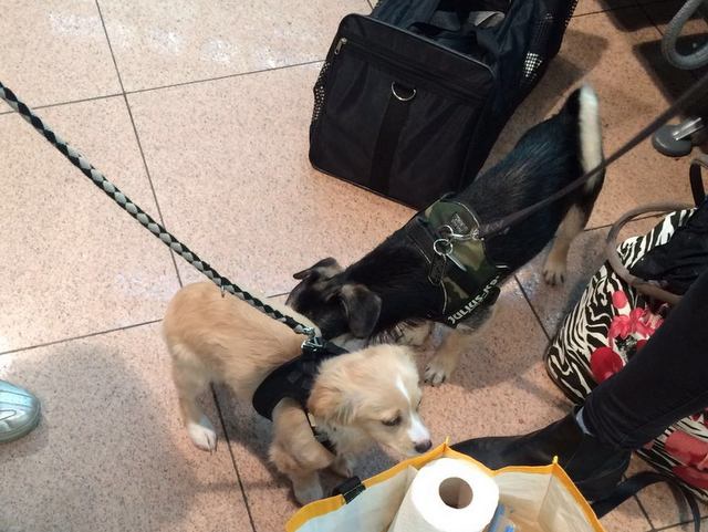 1 719b2f900113f2cca6124df25eb7724b