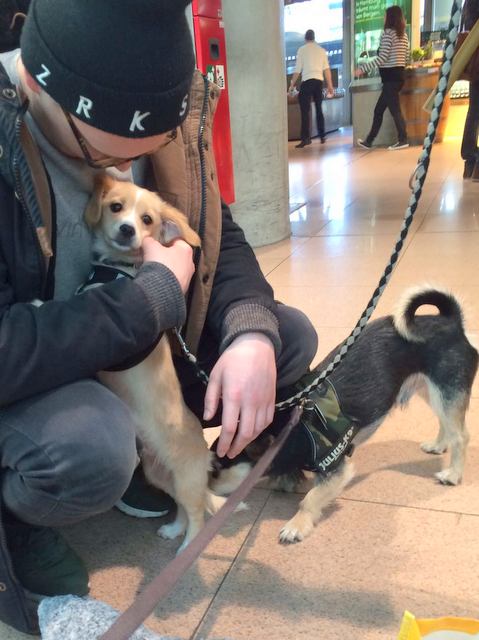 1 7a1c296ddc3a3abd40800d96ccec4f47