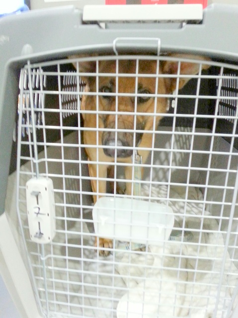 1 20160209 023703 resized