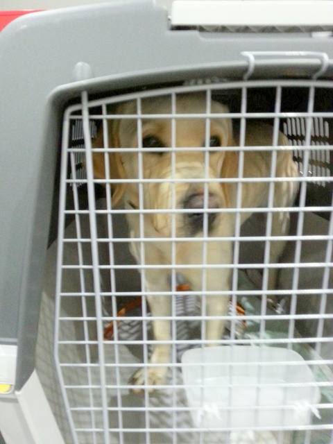 1 20160209 023708 resized