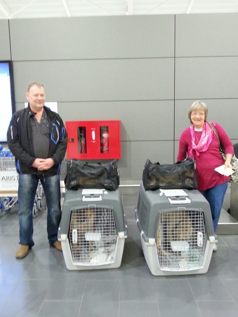 1 20160209 023738 resized