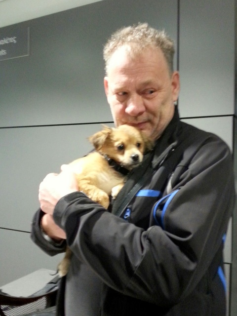 1 20160209 024547 resized