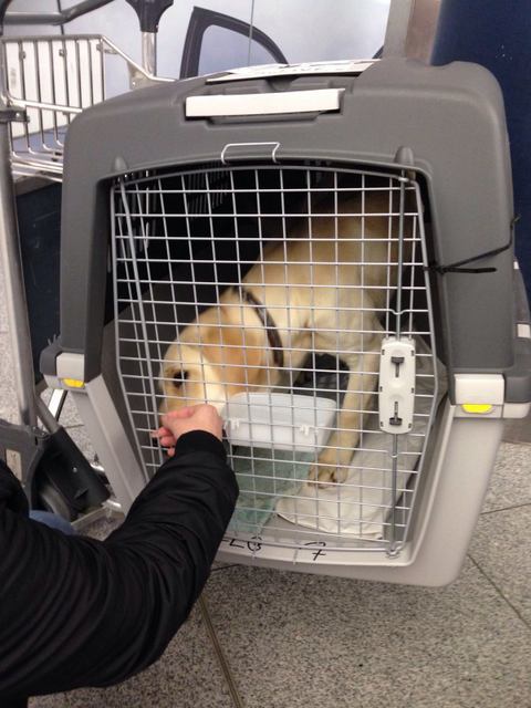 1 IMG 20160209 WA0003