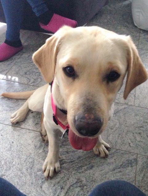 1 IMG 20160209 WA0005