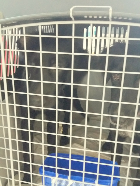 1 20160904 135446 resized