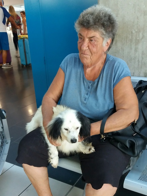 1 20160904 142319 resized