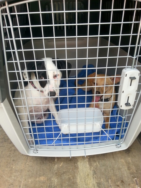 1 20160515 132157 resized