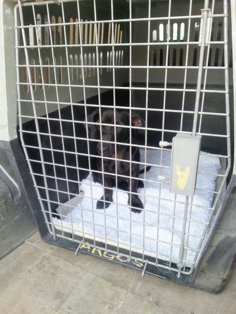 1 20160515 132203 resized