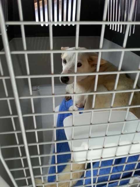 1 20160514 150622 resized