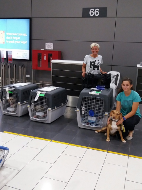 1 20160710 033456 resized