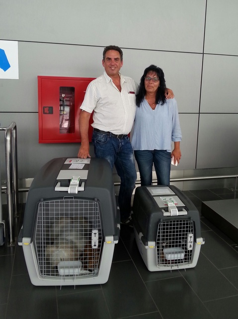 1 20160611 141752 resized