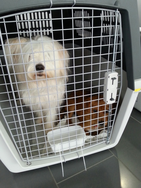 1 20160611 141759 resized