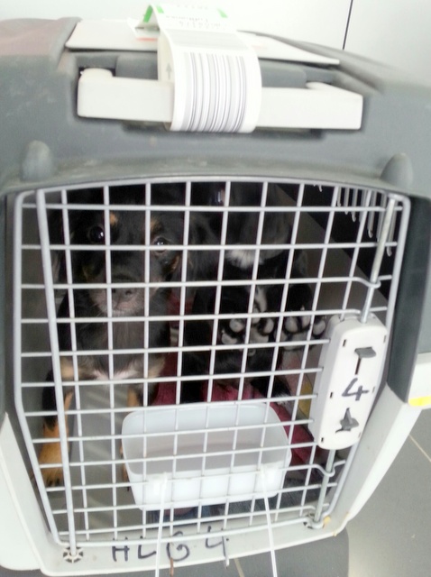 1 20160611 141806 resized