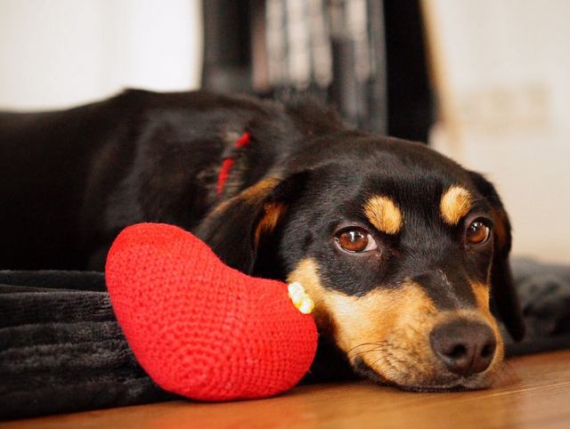 1 2016 12 24 PHOTO 00000015