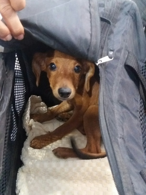 1 20160925 135432 resized