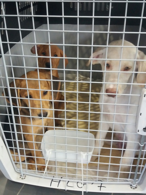 1 20160925 141259 resized