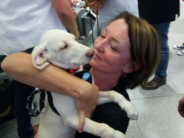 1 14469211 1265965016755724 1470274024 n