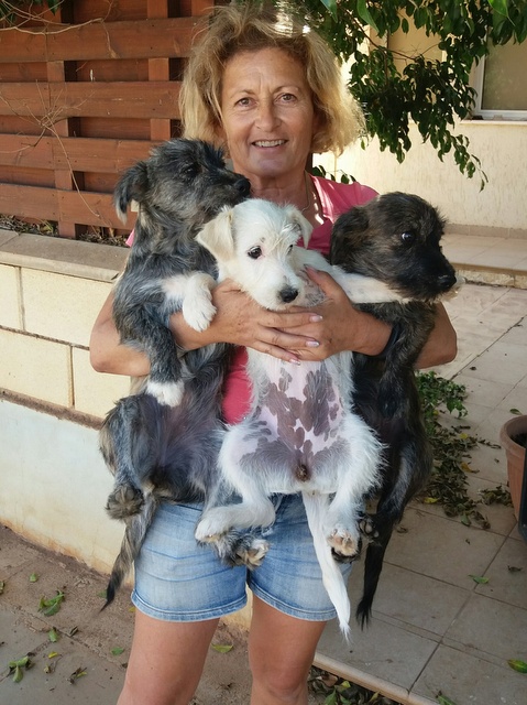 1 20161023 121842 resized