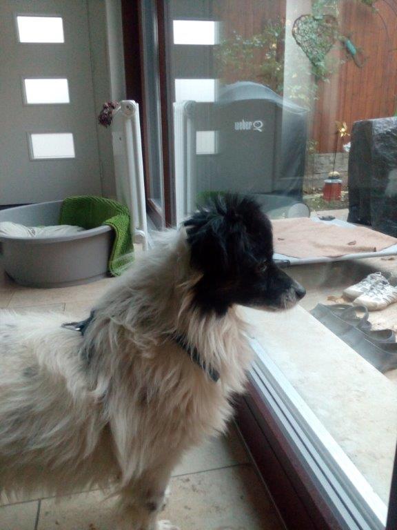 Pok wartet auf seine Familie