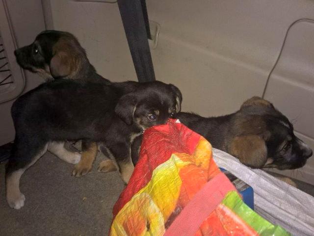 1 2016 12 05 PHOTO 00000120