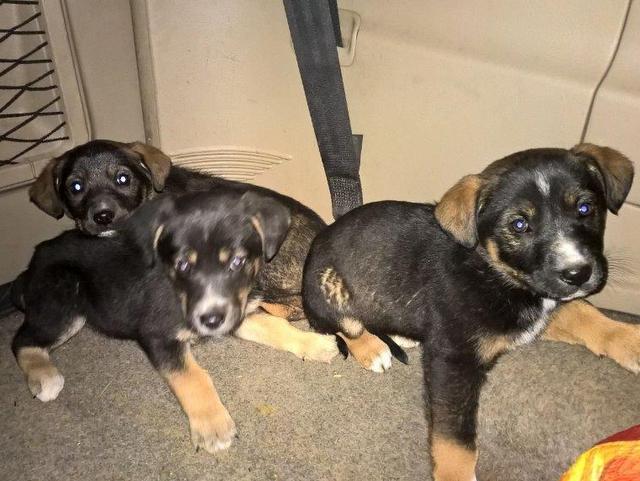 1 2016 12 05 PHOTO 00000123