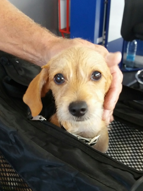 1 20160826 140128 resized