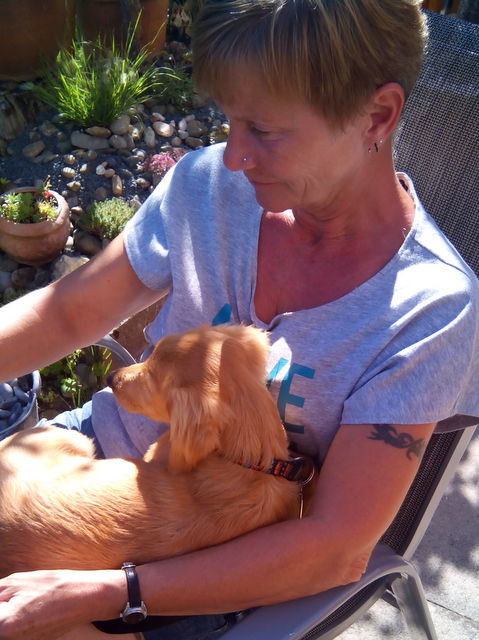 1 IMG 20160823 161011