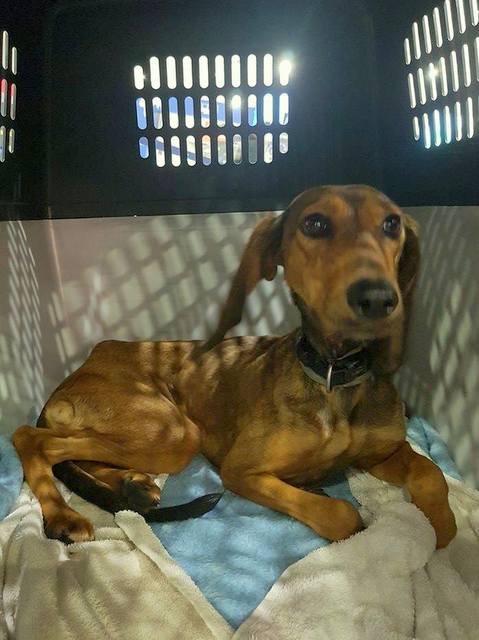 1 24824496 856664804495333 1227994917 n