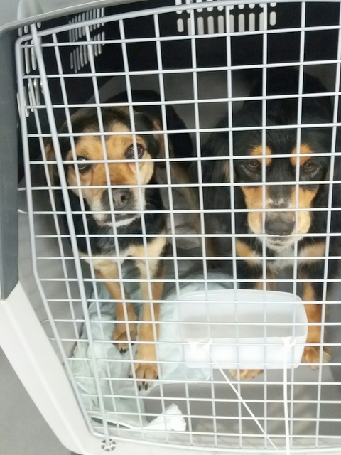 1 20170318 152953 resized