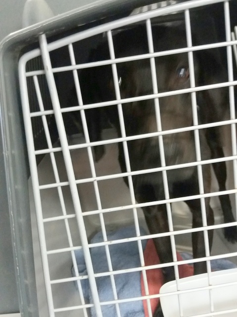 1 20170318 153004 resized