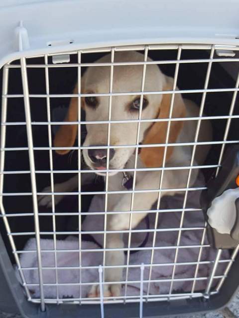 1 received 2095558280506705