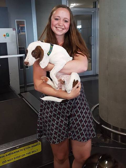 1 17918755 776313969197084 442107027 n