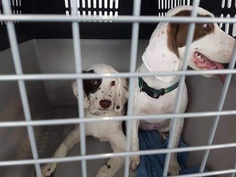 1 19441179 776218259206655 1550728983 n