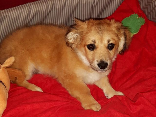 1 2017 03 23 PHOTO 00000010