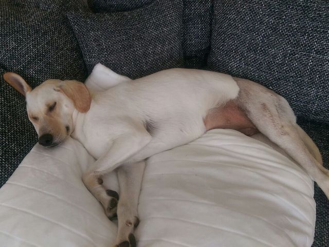 1 2017 03 23 PHOTO 00000012