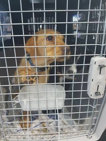 1 17467578 727308107431004 544006338 n