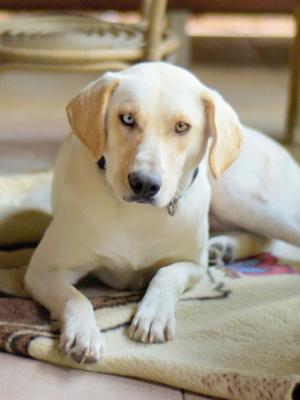 thumb Luna DSC7575 AOK 001