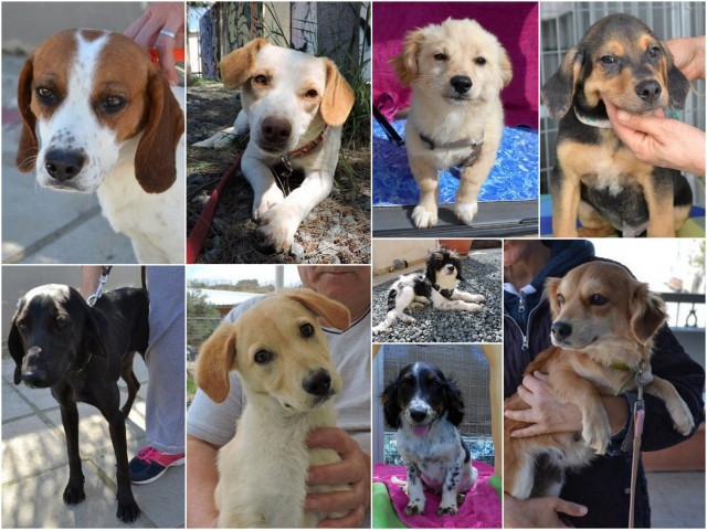 1 düsseldorf berlin