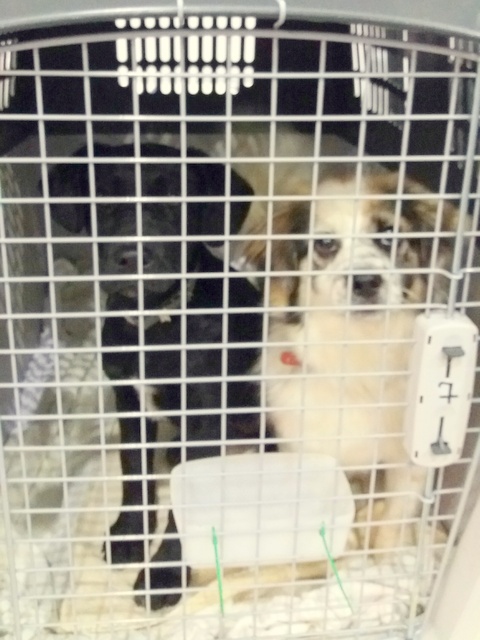 1 20170306 033615 resized