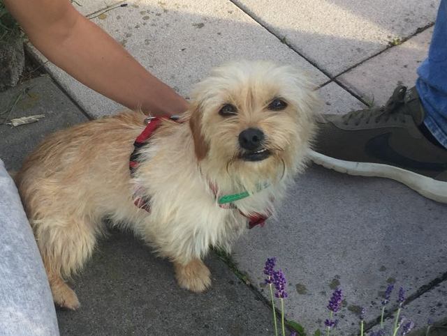 1 2017 06 08 PHOTO 00000015