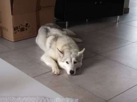 1 2017 06 09 PHOTO 00000024