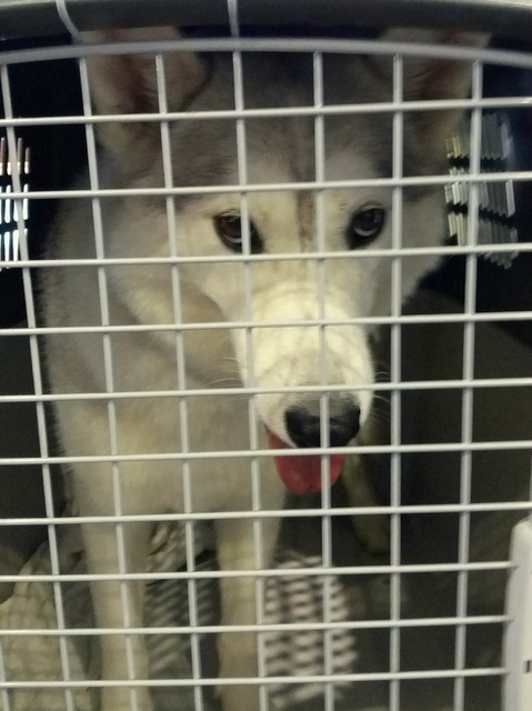 1 20170608 084445 resized