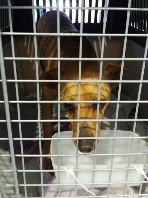 1 20170608 085258 resized