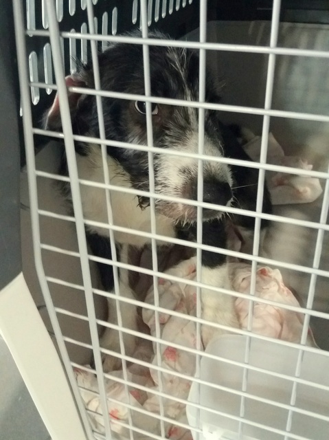 1 20170608 090316 resized