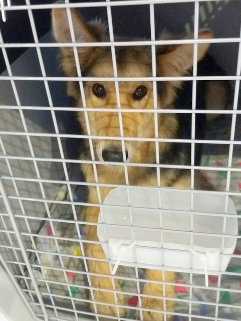 1 20170528 083345 resized