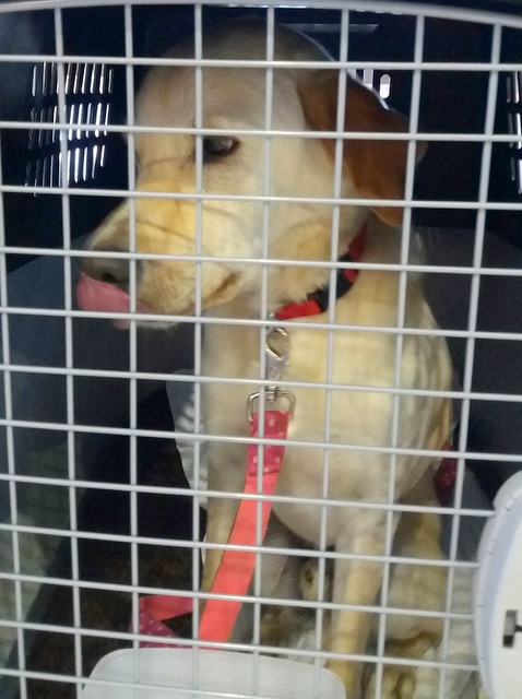 1 20170528 083403 resized