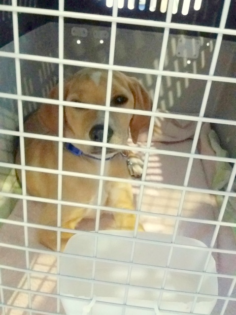 1 20170528 083505 resized