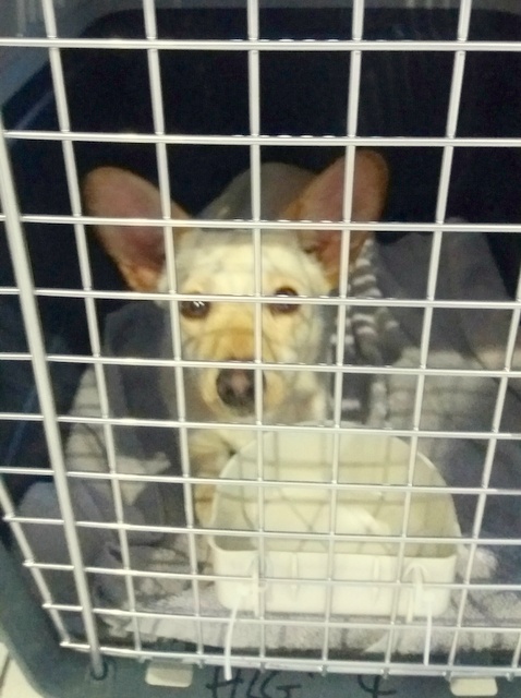 1 20170528 083546 resized